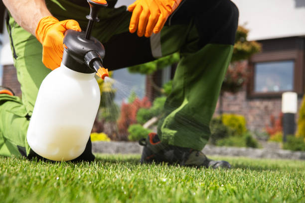 Best Wildlife Control Services  in Le Claire, IA