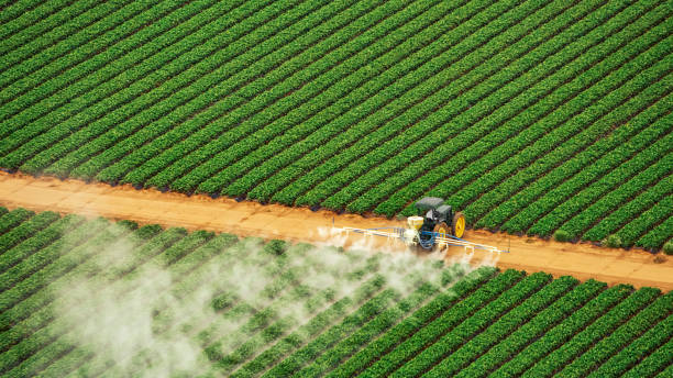 Best Pest Control Cost  in Le Claire, IA