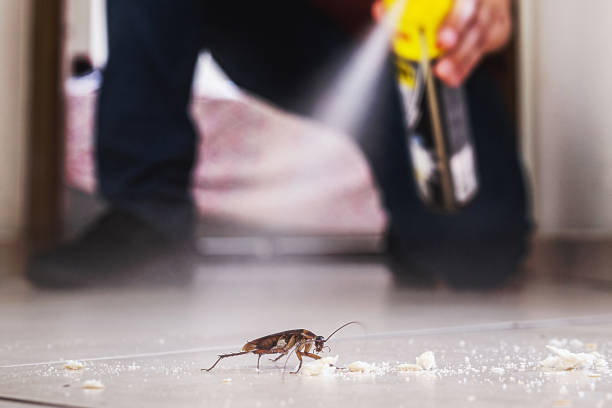 Best Ant Control Services  in Le Claire, IA