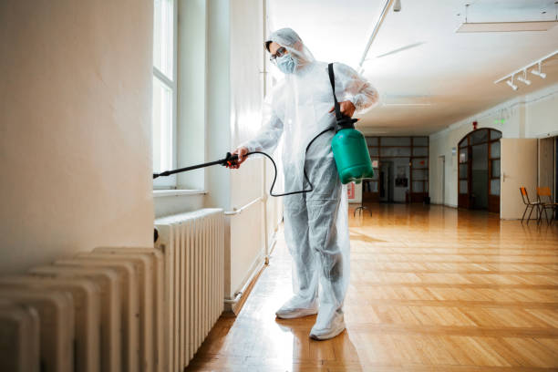 Best Bed Bug Extermination  in Le Claire, IA